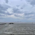 Kueste33-15 - Strandnest טוסנס